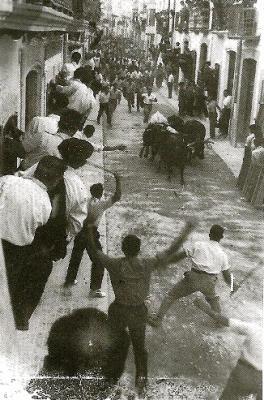 FOTOGRAFIES ANTIGUES (Gata en el record) -487-