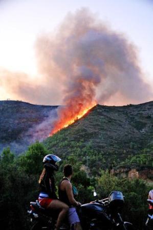 INCENDI AL TERME VEÍ DE LLÍBER, molt a prop del de Gata