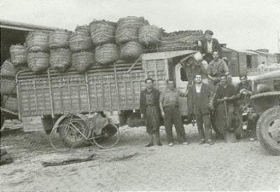 FOTOGRAFIES ANTIGUES (Gata en el record) -500, la d'ahir dissabte 27-