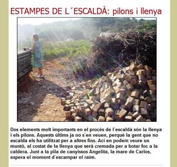 EL CRONISTAFA UN ANY: 10 de setembre de 2010