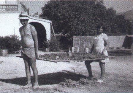 FOTOGRAFIES ANTIGUES (Gata en el record) -519, la de hui-