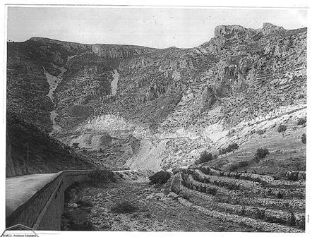 FOTOGRAFIES ANTIGUES (Gata en el record) -520-