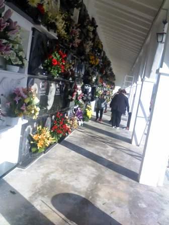 VESPRA DE TOTS SANTS: ELS GATERS VISITEM EL CEMENTERI