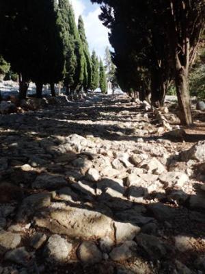 IMATGES CURIOSES: Pedres, xiprers i un calvari