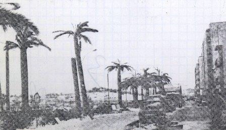 FOTOGRAFIAS ANTIGUES (Gata en el record) -571-