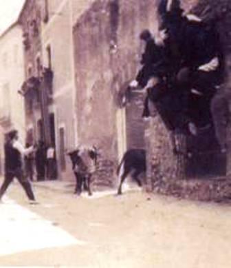 FOTOGRAFIES ANTIGUES (Gata en el record) -595, la d'ahir dia 30/11-