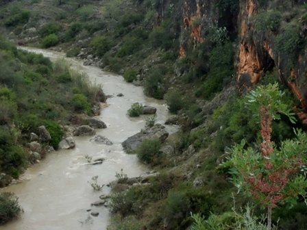 IMATGES CURIOSES: de avencs i Coves Roges