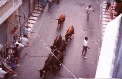 FOTOGRAFIES ANTIGUES (Gata en el record) -611, la d'ahir dia 16-