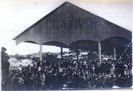 FOTOGRAFIES ANTIGUES (Gata en el record) -644-