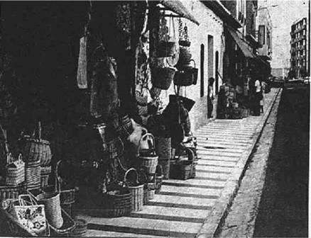 FOTOGRAFIES ANTIGUES (Gata en el record) -645, la d'ahir dia 18-