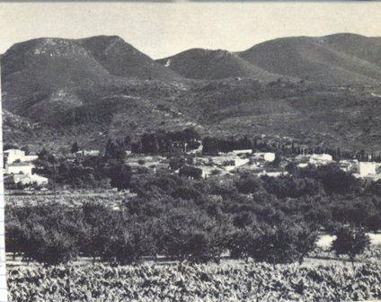 FOTOGRAFIES ANTIGUES (Gata en el record) -650, la de hui dia 23-