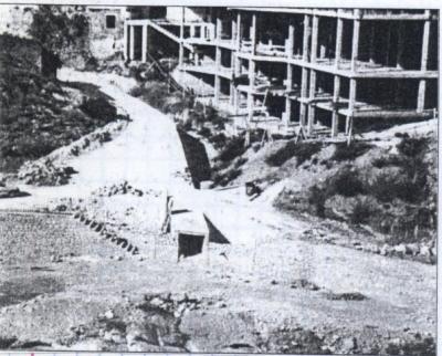 FOTOGRAFIES ANTIGUES (Gata en el record) -656, la de hui, diumenge 29-