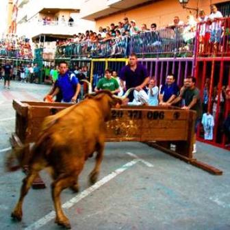 INICIEN LEXPEDIENT PER A DECLARAT BÉ DINTERÉS CULTURAL IMMATERIAL ALS BOUS AL CARRER