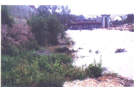 FOTOGRAFIES ANTIGUES (Gata en el record) -687, la del dia 1-