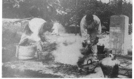 FOTOGRAFIES ANTIGUES (Gata en el record) -696-