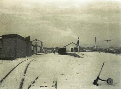 FOTOGRAFIES ANTIGUES (Gata en el record) -711-