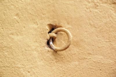 IMATGE CURIOSA: Encara hi ha anelles de lligar l'animal