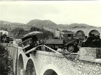 FOTOGRAFIES ANTIGUES (Gata en el record) -721-