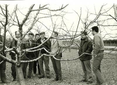 FOTOGRAFIES ANTIGUES (Gata en el record) -725, la d'ahir diumenge dia 8-