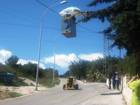 IMATGES CURIOSES: espectadors privilegiats