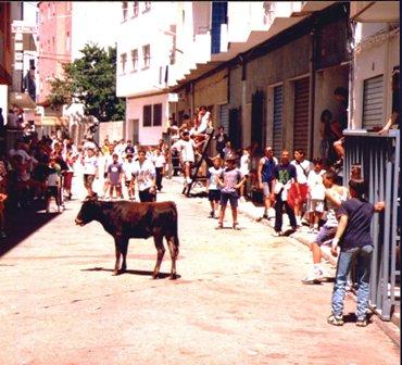 FOTOGRAFIES ANTIGUES (Gata en el record) -797-