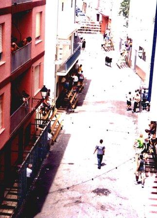 FOTOGRAFIES ANTIGUES (Gata en el record) -798-