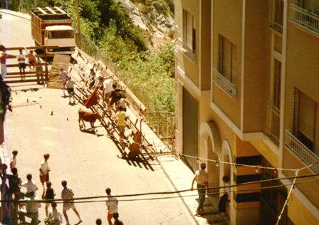 FOTOGRAFIES ANTIGUES (Gata en el record) -801, la de hui dia 23-