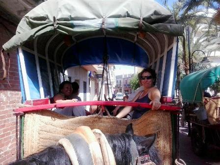 IMATGES CURIOSES: CONTINUEN ELS CARROS GATERS PER LES CARRETERES DE LA COMARCA