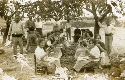 FOTOGRAFIES ANTIGUES (Gata en el record) -824, la del dia 16, dilluns-