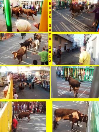 GATA EN FESTES: 1ª ENTRÀ DE BOUS