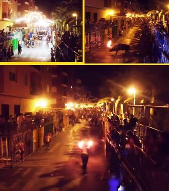 GATA EN FESTES: LA MÀGIA DEL BOU EMBOLAT