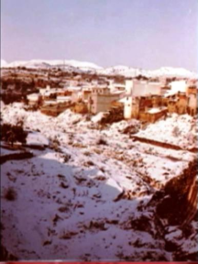 FOTOGRAFIES ANTIGUES (Gata en el record) -882, la del dia 13-