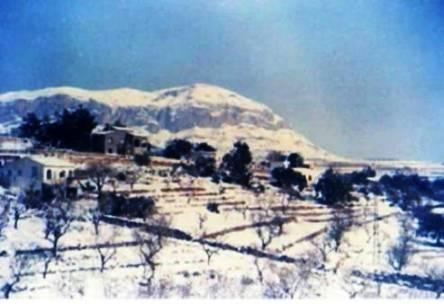 FOTOGRAFIES ANTIGUES (Gata en el record) -883, la d'ahir dia 14-