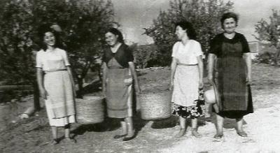 FOTOGRAFIES ANTIGUES (Gata en el record) -909, la d'ahir dia 10-