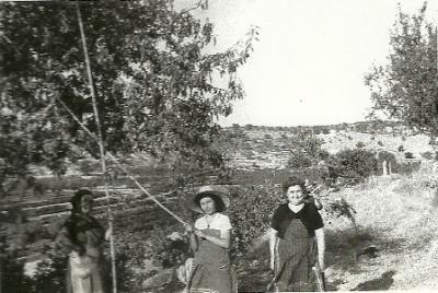 FOTOGRAFIES ANTIGUES (Gata en el record) -918, la del divendres 19-