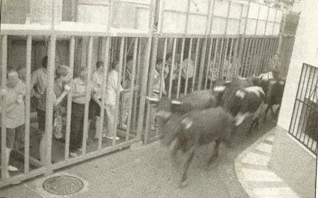 FOTOGRAFIES ANTIGUES (Gata en el record) -934, la de hui, dia 4-