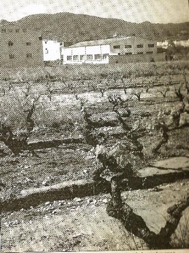 FOTOGRAFIES ANTIGUES (Gata en el record) -940, la del 10/11-