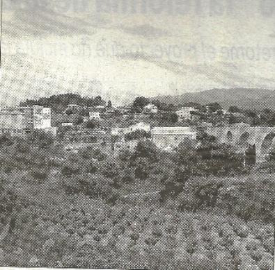 FOTOGRAFIES ANTIGUES (Gata en el record) -942, la del dia 12/11-