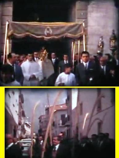 FOTOGRAFIES ANTIGUES (Gata en el record) -972-