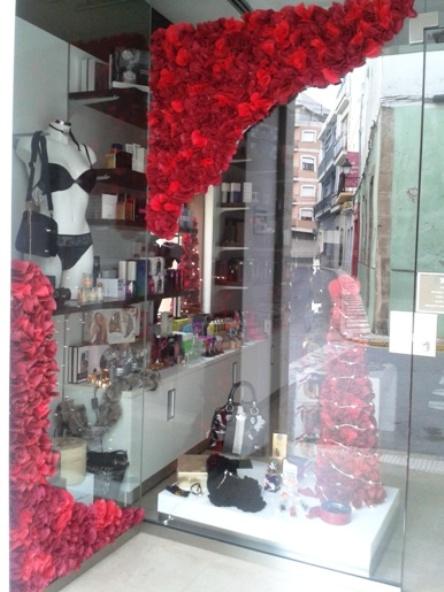 IMATGE CURIOSA: Un carrer a través d'un aparador