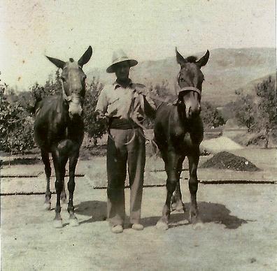 FOTOGRAFIES ANTIGUES (Gata en el record) -1.010, la de hui, dia 19-