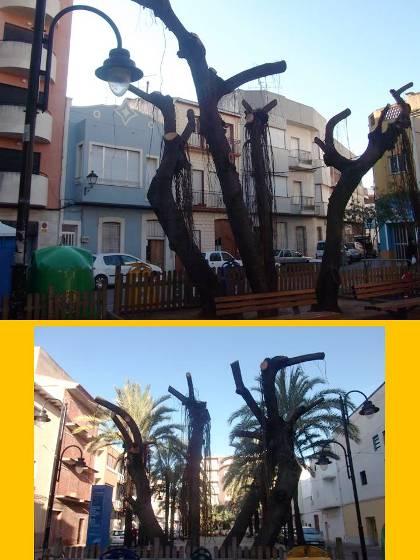 IMATGES CURIOSES: Quina pelà!!, el ficus de la Plaça Nova podat