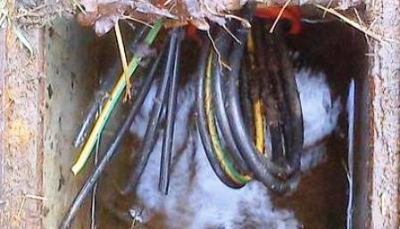 ROBATORI DEL CABLEJAT DE LLUM DEL PARC DEL RAVAL