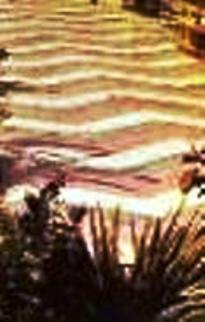 FOTOGRAFIES ANTIGUES (Gata en el record) -1.087, la d'ahir dia 7-