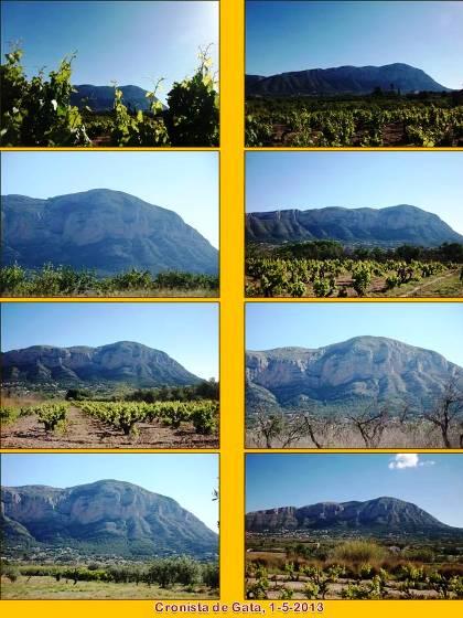 RUTES: UNA PASSEJADA AMB VISTES AL MONTGÓ, això no té preu