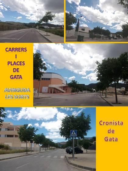 ELS NOSTRES CARRERS I PLACES. 50.- Avinguda Les Sorts