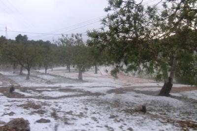 ÚLTIMA HORA!! PEDREGADA: L'AJUNTAMENT DEMANARÀ QUE SIGA ZONA CATASTRÒFICA
