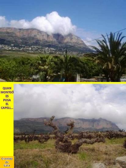 ARTICLES DESTACATS: QUAN MONTGÓ ES POSA EL CAPELLPICA ESPART I FES CORDELL (Publicat 14-4-2010)
