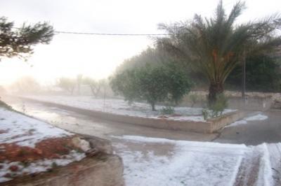 L'AJUNTAMENT SOL·LICITA LA DECLARACIÓ DE ZONA CATASTRÒFICA (Nota oficial)