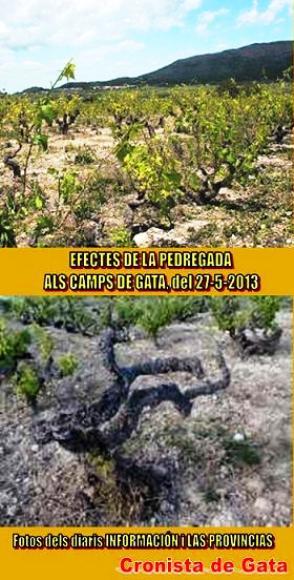 LA PREMSA PARLA HUI DEla declaració de zona catastròfica al terme, per la pedregada